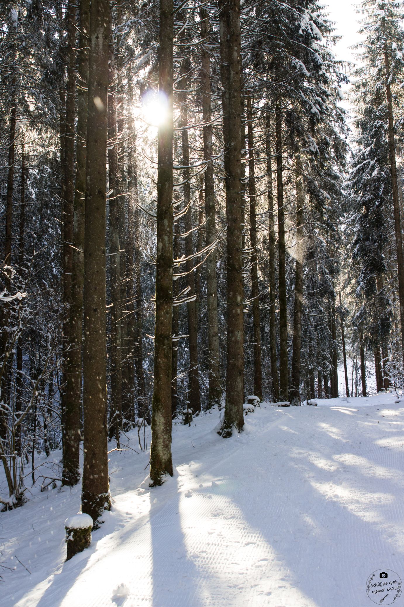 Haubers Naturresort Waldspaziergang Klimapfad